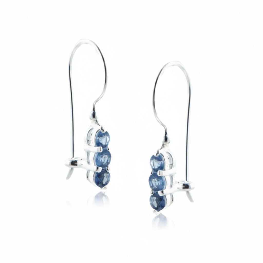 Small Genuine Tanzanite Sterling Silver Hook Earrings - Silver Insanity