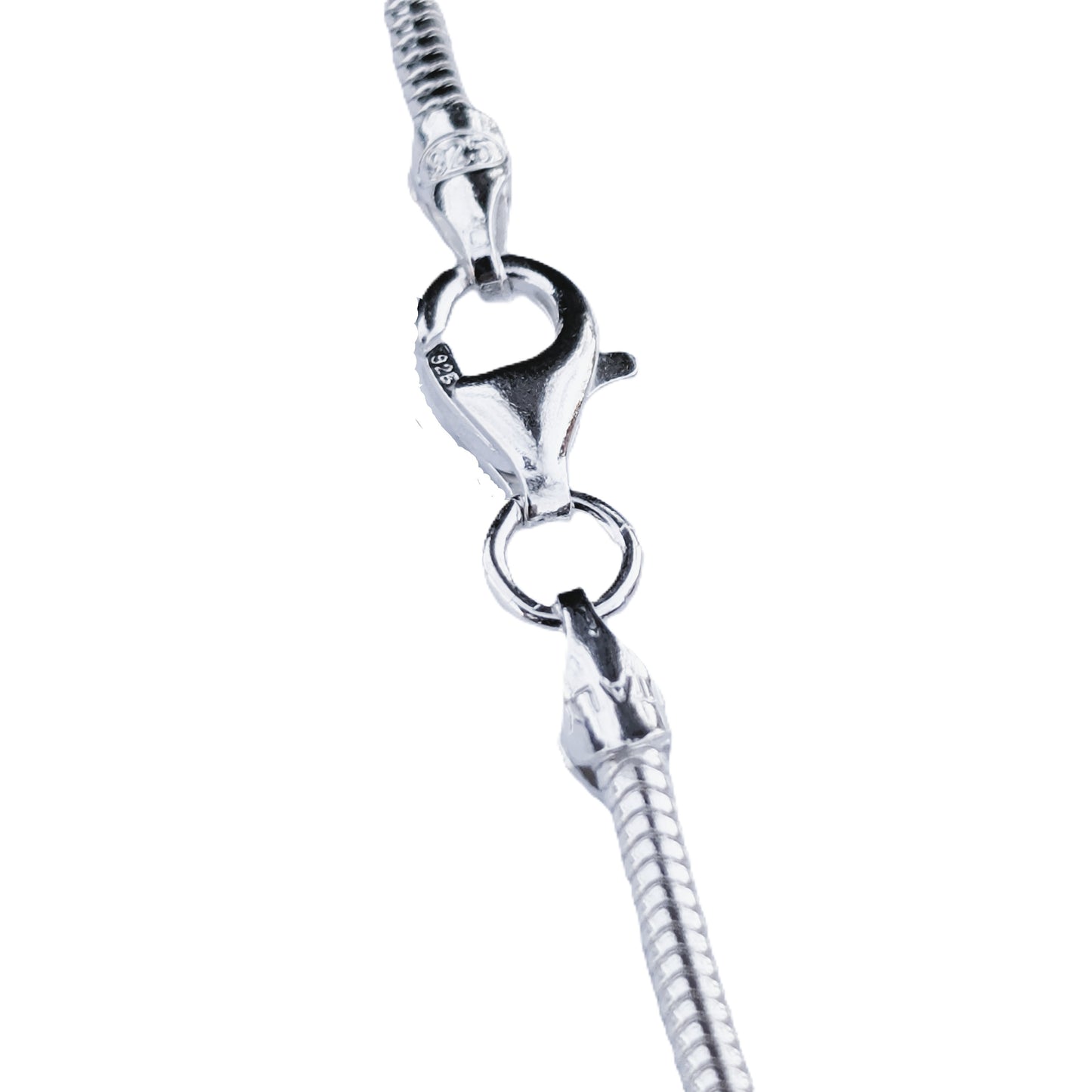 Silver clasp on a white background