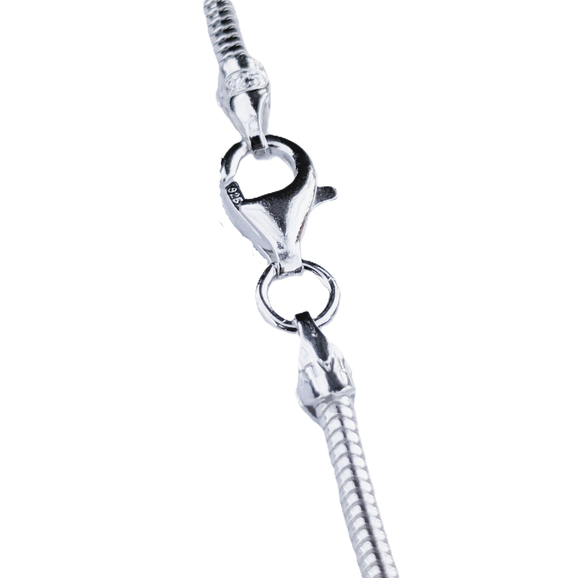 Silver clasp on a white background