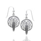 Sterling Silver Dreamcatcher and Hawk Feather Earrings - Silver Insanity